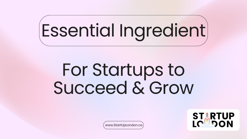 Essential Requirements for Startups to Succeed.